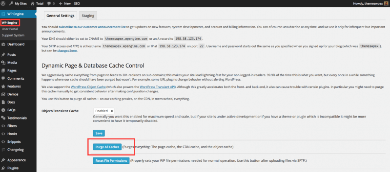 How To Clear Your Cache In WordPress