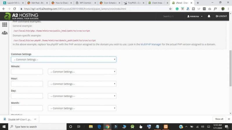 How to Disable WP-Cron for Faster Performance 3 How to Disable WP-Cron for Faster Performance