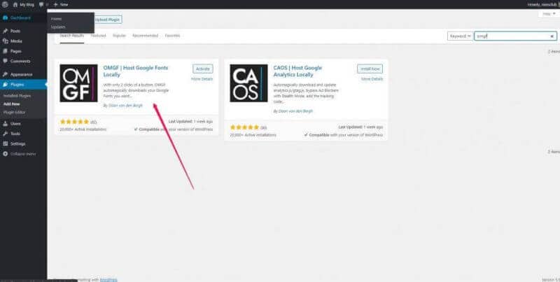 How To Host Google Font Locally In WordPress: Use Google Font Locally 12 how to use google font locally 12