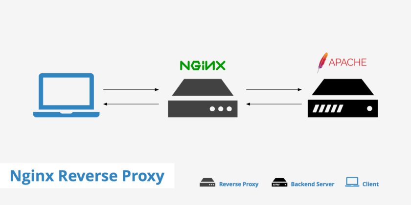 NGNIX Reverse Proxy