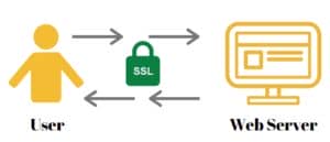 Types Of SSL Certificates Explained 1 Types Of SSL Certificates