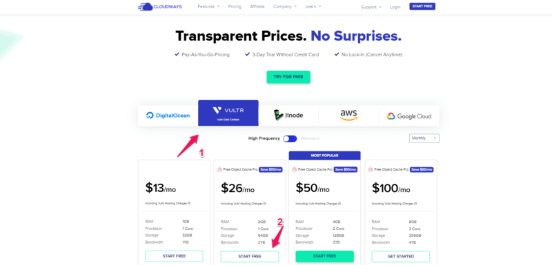 How To Start A Blog From Scratch In 2022: Easy 10 Steps Guide 13 Host a blog on Cloudways 2