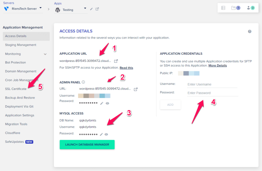 Cloudways Review 2023: The Fastest Managed WordPress Hosting 40 Cloudways Application Settings